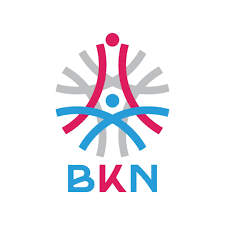 ASN Digital BKN